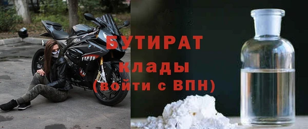 прущие грибы Абинск
