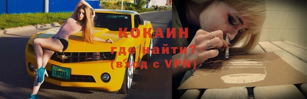 прущие грибы Абинск