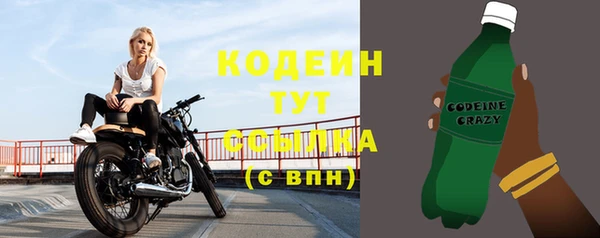 ГАЛЛЮЦИНОГЕННЫЕ ГРИБЫ Абаза