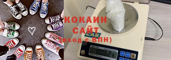 прущие грибы Абинск