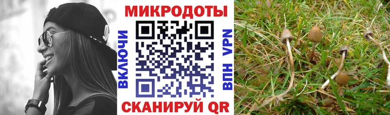 Галлюциногенные грибы мухоморы  магазин продажи наркотиков  блэк спрут ONION  Сорочинск 