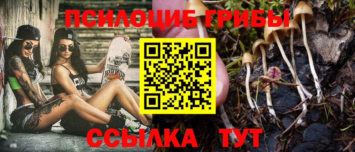Сорочинск  Псилоцибиновые грибы прущие грибы  Вход с VPN  Галлюциногенные грибы мухоморы 