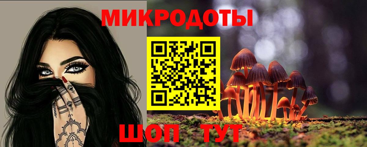 Галлюциногенные грибы Psilocybe Сорочинск
